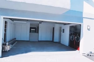 32903749