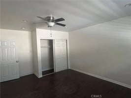 32903949