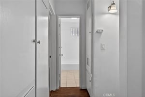 33172661