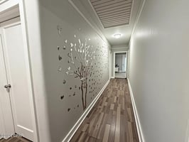 32904282