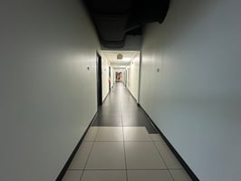 33844393