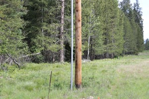 32905190