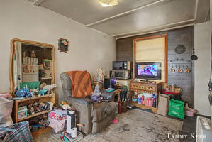 32905744