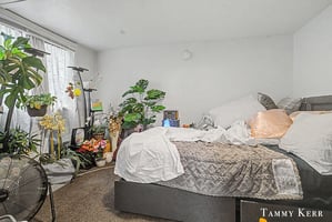 32905750