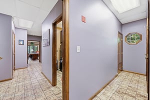 32905911
