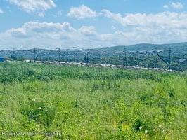 32906044