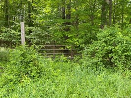 32940264