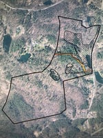 32940263