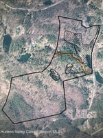 32906049