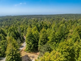 32908208