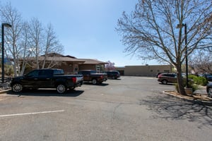 32908419