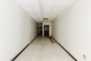 32908648