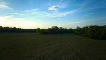 32909645