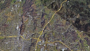 32945954