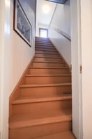 32923055