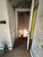 32925241