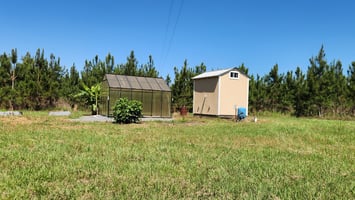 32925743