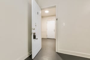 32929648
