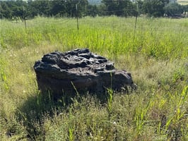 32934167