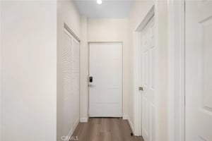 32934616