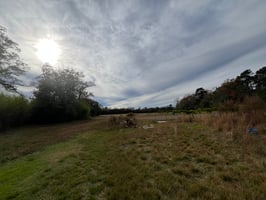 32936034