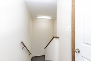 32936429