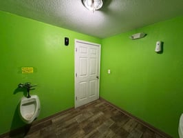 32936618