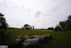 32947484