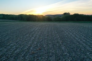 34075101