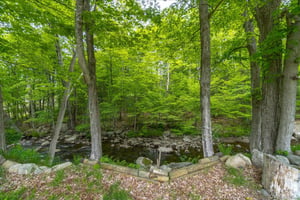 32939950