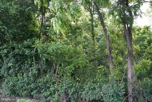 32949593