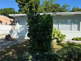 32950419