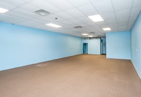 32951611