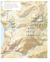 32954351