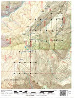 32954344