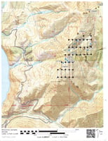 32954345