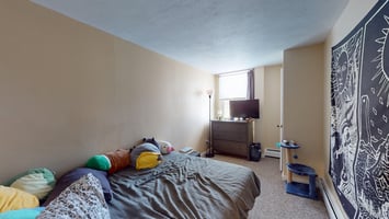 32965494