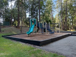 32985797