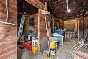 32984772