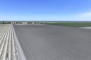 33000559