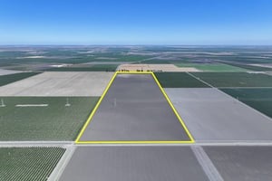 33000552