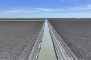33000551