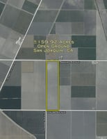33000554