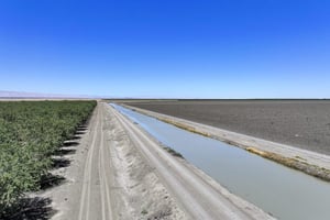 33047325