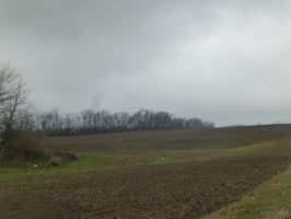 33090476