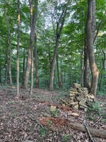 33109090