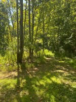 33112120