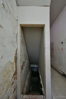 33129763