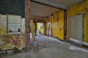 33129754
