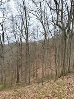 33130942